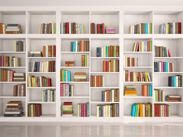 Bookshelf Assembly in Iowa City