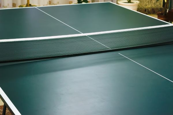 Ping Pong Table Assembly in Iowa City