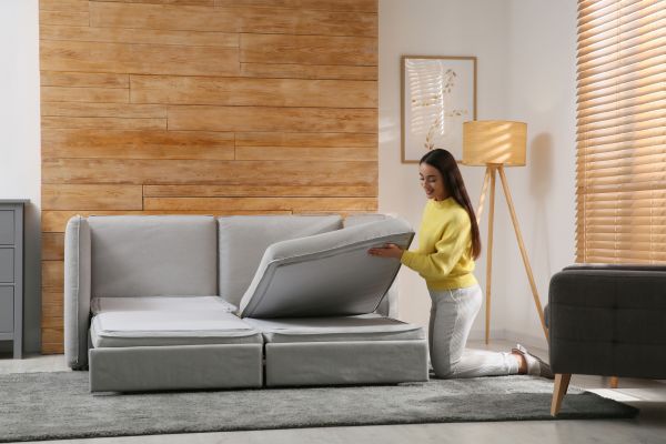 Convertible Bed Assembly in Iowa City